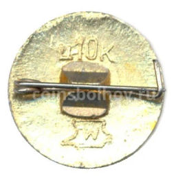 Значок Кострома