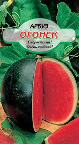 Огонек арбуз 10шт ( ссс) Р