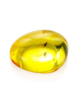 Натуральный балтийский янтарь с инклюзом мушки