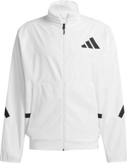 Ветровка мужская