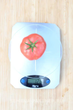 Томат Императорская Слабость - Партнер фото 5