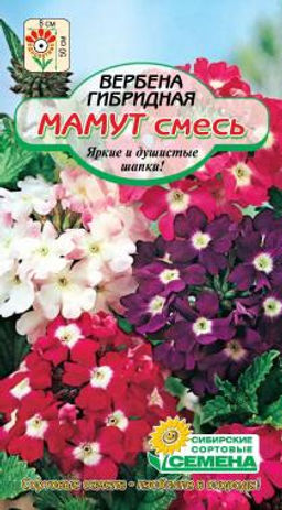 Мамут, смесь гибридная вербена 0,1гр (ссс)
