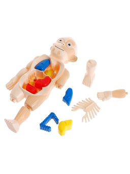 Набор для опытов Мое удивительное тело - Эврики фото 14