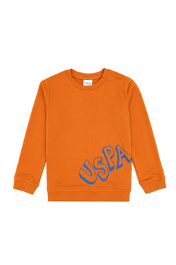 Erkek _ocuk Bak_r Bisiklet Yaka Basic Sweatshirt Sepette S_rpriz _ndirim