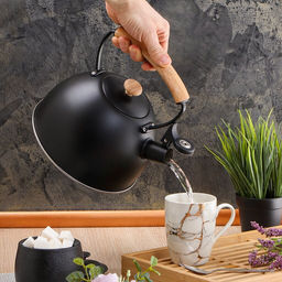 Чайник нерж 3л со свистком, ручка металл и дерево, черный Daniks MSY-078B (347884)  фото 2