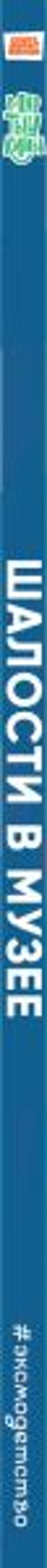 Мартышкины. Шалости в музее