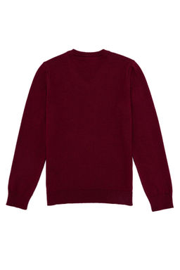 Бордовый трикотажный свитер с v-образным вырезом для мальчика Неожиданная скидка в корзине - U.s. polo assn фото 2