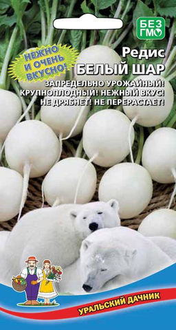 Редис БЕЛЫЙ ШАР  Не дрябнет! Не перерастает! Крупноплодный! Запредельная урожайность!