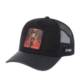 Бейсболка CAPSLAB арт. CL/LOTR/1/CT/PAS Lord of the Rings Gandalf (черный)