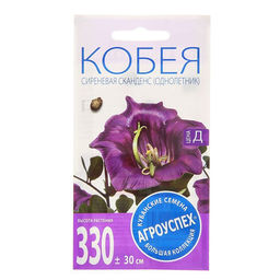 Цена за 2 шт. Семена цветов Кобея "Сканденс", 4 шт