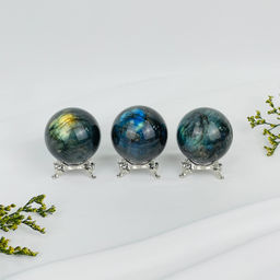 Шар из Лабрадора на подставке