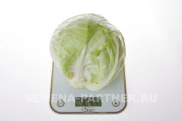 Капуста белокочанная раннеспелая Трансфер - Партнер фото 4
