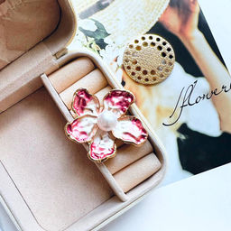 61935350 Брошь на магните