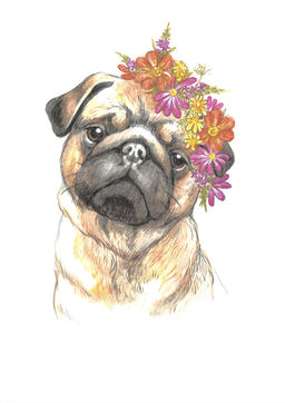 ФРЕЯ RPSA-0010 Милый мопс Скетч для раскраш. акварельными карандашами 29.7 х 21 см 1 л