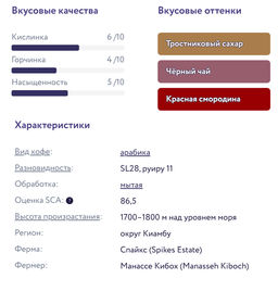 Кения Спайкс АБ Свежеобжаренный кофе, 250 г - Torrefacto фото 2