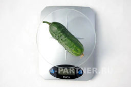 Огурец пчелоопыляемый Байконур - Партнер фото 8