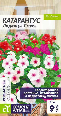 c95dac325f6386af307c57b1084a33c1ecuw71ud73m2bwa5si