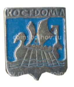 Значок Кострома