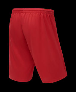 Шорты баскетбольные JOGEL CAMP Basic, красный  фото 5