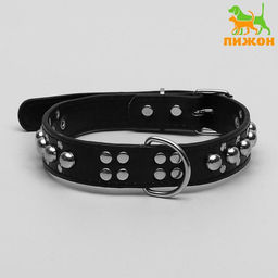 Ошейник Сириус, кожзам с заклёпками, 56 х 3 см, ОШ 42-52, чёрный