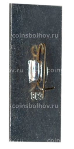 Значок Мудьюг