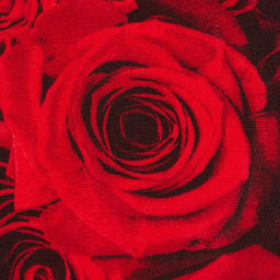 Набор кухонных полотенец Доляна Для тебя, 35х60 см - 2шт, 100% хлопок  фото 3