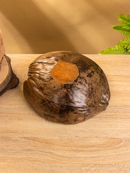 Чаша из кокоса, 22×24.5×9 см, коричнево-золотая