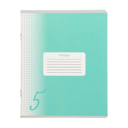 Комплект тетрадей из 10 штук, тетрадь 24 листа в клетку Calligrata Пятёрка, обложка мелованный картон, ВД лак, блок офсет, белизна 95%  фото 5