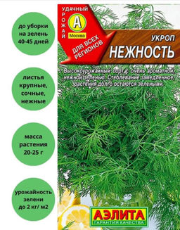 Укроп Нежность