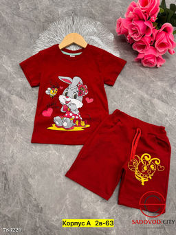 Детский костюм двойка шорты и футболка