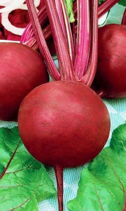 Свёкла ЦЫГАНКА  Тёмно-красная, очень сладкая, без колец! Идеальна для витаминных соков! Хорошо хранится зимой!