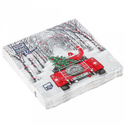 Салфетки бумажные "Bouquet Home Collection Classic" 33х33см, 3-х слойные, 20 штук в упаковке, 100% целлюлоза, "Дед Мороз в пути" (Россия)