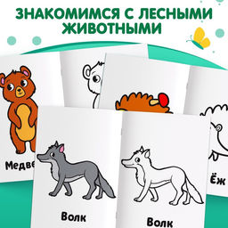 Раскраска Лесные животные, 16 стр. - Буква-Ленд фото 3