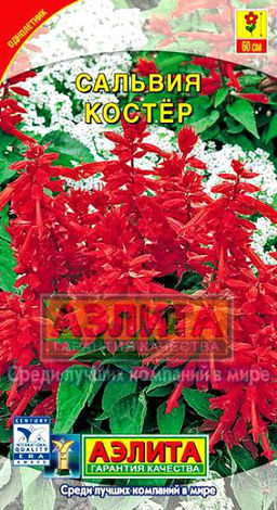 Сальвия Костер 0,1г (Аэлита)