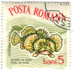 Марка Скорпена-ерш 1964 год Румыния