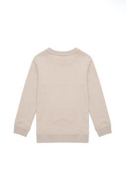 Базовый свитшот Stone для мальчиков - U.s. polo assn фото 5