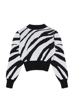 Zumrut Yesili Zebra Desenli Crop Triko Kazak TWOAW21KZ0010 - Trendyolmilla фото 23