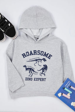 Gri Melanj Erkek Cocuk Mevsimlik-Ince Dinozor Desenli Kapusonlu Orme Sweatshirt TKDAW25SW00004