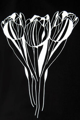 Арт. 3-1152 Футболка женская 50-58 (5 шт) Цвет:черный - Калинка фото 14