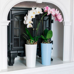 Кашпо для цветов пластмассовое "Камелия" 1,5л, д14см, h26см, со вставкой h13см, полипропилен, белый (Беларусь)