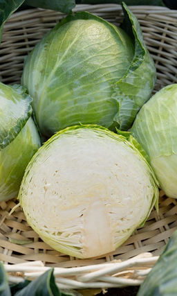 Капуста БИРЮЧЕКУТСКАЯ 138, серия +50% БЕСПЛАТНО! Вкуснейший отечественный сорт!