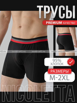 Цена за 1 шт. Боксеры трусы мужские Турция арт. 2066-6 L (48-50)