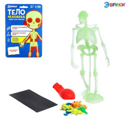 Набор для опытов Тело человека