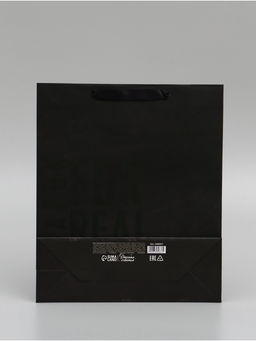 Цена за 2 шт. Пакет подарочный ламинированный, упаковка, Мужская воля, M 25.5 х 30 х 9 см