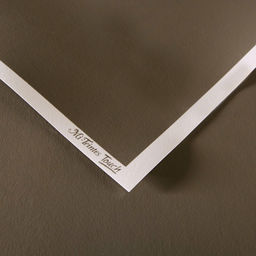 Canson Бумага для пастели Mi-Teintes Touch 350 г/м2 50 х 65 см лист 10 л. №133 Сепия C200005420