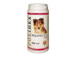 ПОЛИДЕКС Поливит-Кальций плюс 500таб.