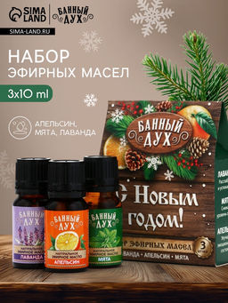 Эфирное масло «С новым годом», 3 шт. × 10 мл, Банный Дух