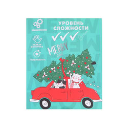 Адвент - календарь новогодний с металлическими головоломками «Котики», 5 шт.