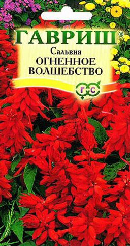 Огненное волшебство сальвия (шалфей) 0,1г (г)