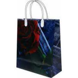 8904 Сумка пластик. BAS 28 (26*23см) маленькая *20